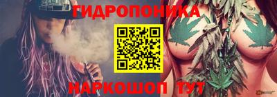 кокс Краснодар