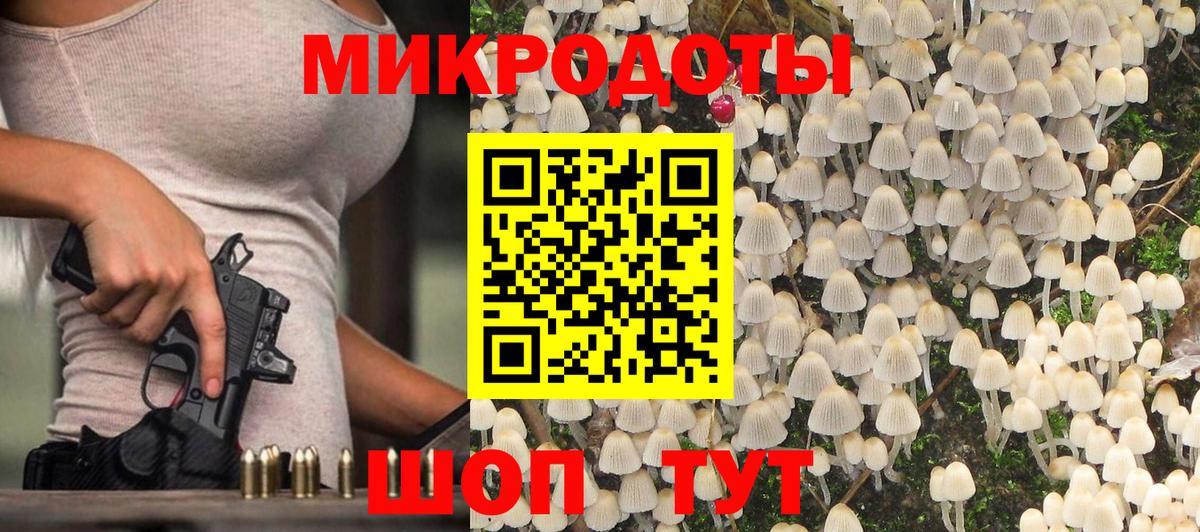 Галлюциногенные грибы GOLDEN TEACHER  Вход с VPN  Каменск-Шахтинский 